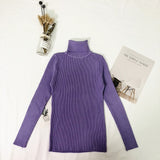 Turtleneck Women Thin Pullover Jumper
