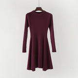 Women Long Sleeve Dress Sweater